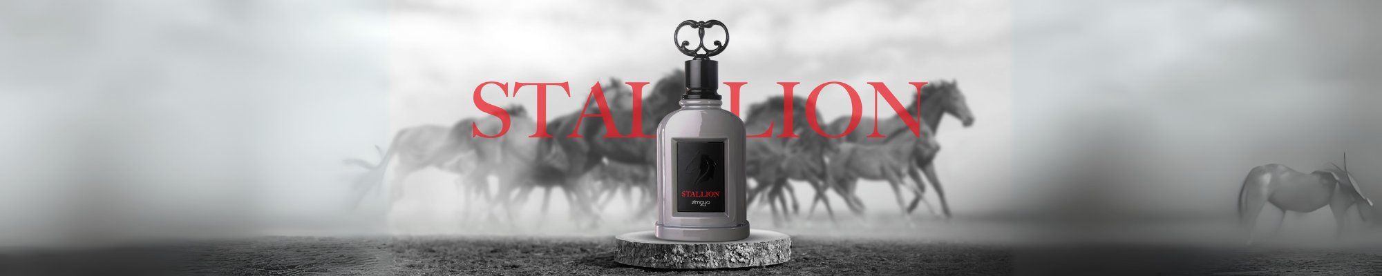 Stallion & Al Fouz Series